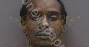 <B>SANDERS</B>,<B>JAMARCUS</B> #, Hillsborough County, Florida - 2024-06-18 00:16:00