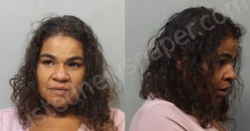 LOPEZ, CARMELA RENE | 2024-06-18 20:18:00 Miami-Dade County, Florida Booking