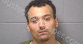 VANCE, VANNESS L | 2024-06-20 20:12:00 Will County, Illinois Booking