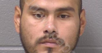 ORTIZ, MICHAEL A | 2024-06-20 16:35:00 Will County, Illinois Booking