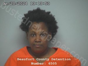 MICHELLE TASHONA SIMMONS | 2024-06-20 12:08:21 Beaufort County, South Carolina Booking