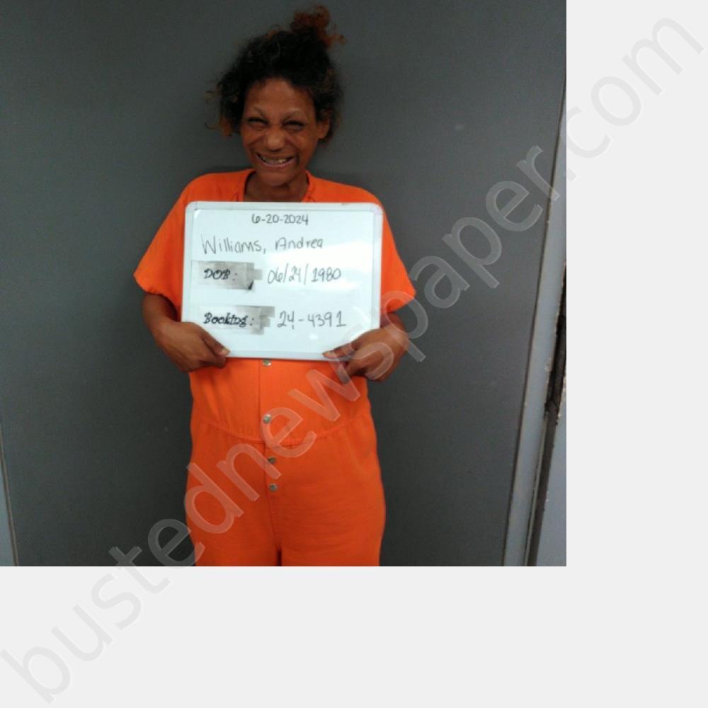 WILLIAMS, ANDREA MONIQUE #, Sebastian County, Arkansas - 2024-06-20 01:26:00