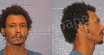 REED, RICHARD P | 2024-06-20 Andrews County, Texas Booking