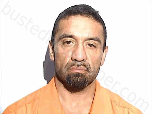 CASTILLO, JOSE ADAM #, Lucas County, Ohio - 2024-06-21 11:50:00