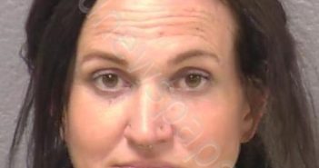 FARLEY, BRIANNA L | 2024-06-22 23:14:00 Will County, Illinois Booking