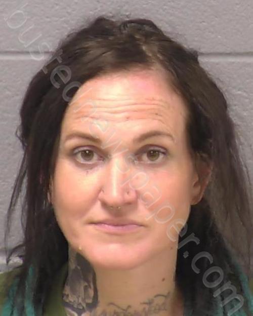 FARLEY, BRIANNA L #, Will County, Illinois - 2024-06-22 23:14:00