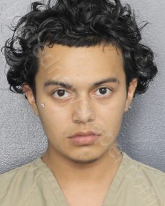 NESTOR, VICTOR | 2024-06-23 Broward County, Florida Booking