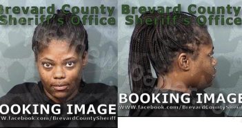 HUDSON, <B>NATASHA</B> TAREE #, Brevard County, Florida - 2024-06-23 04:29:00