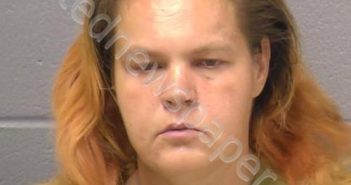 KORWIN, MICHELLE C | 2024-06-23 19:11:00 Will County, Illinois Booking