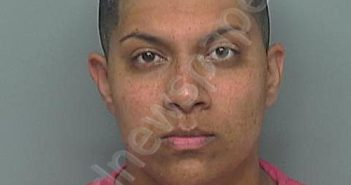 DSOUZA, LAUREN REBECCA | 2024-06-23 03:22:00 Montgomery County, Texas Booking