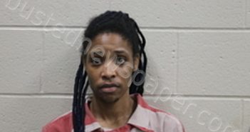 <B>DONNESHA</B> <B>RENEE</B> <B>JONES</B> #, Andrew County, Missouri - 2024-06-24