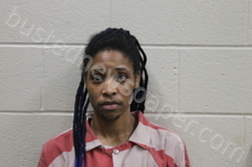 DONNESHA RENEE JONES #, Andrew County, Missouri - 2024-06-24