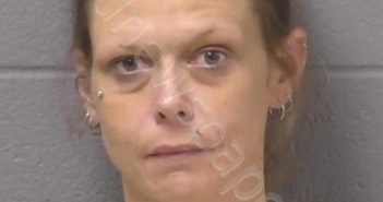 GLISSON, KATIE M | 2024-06-24 02:33:00 Will County, Illinois Booking