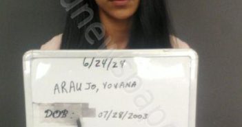 ARAUJO, YOVANA SIERRA | 2024-06-24 14:41:00 Sebastian County, Arkansas Booking