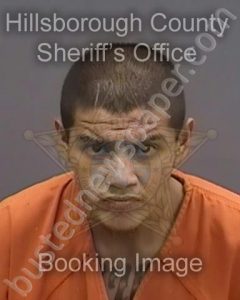 GRANADO,ANDRES | 2024-06-24 11:10:00 Hillsborough County, Florida Booking