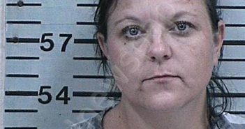CLEMENTS, CANDICE MICHELLE | 2024-06-25 16:26:21 Hood County, Texas Booking