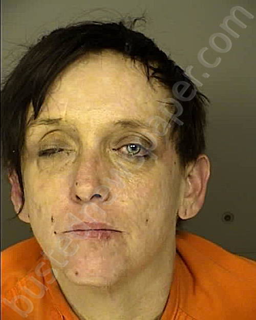 EVANS, TIFFANY DAWN #, Horry County, South Carolina - 2024-06-26 20:08:00