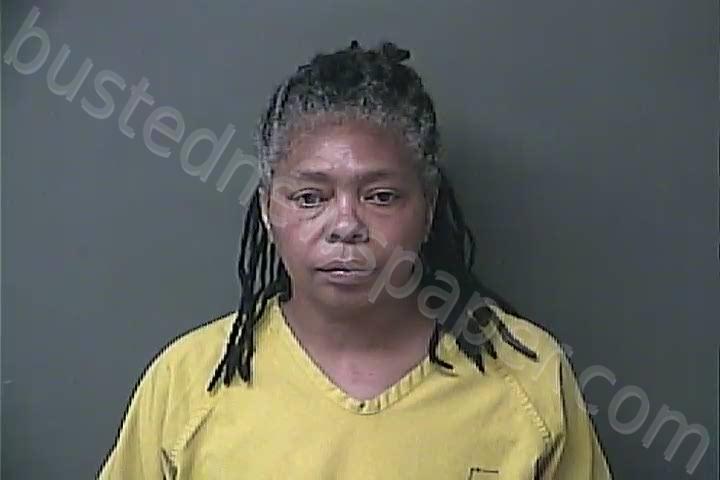 NIX, SABRINA RENAE #, Howard County, Indiana - 2024-06-26 15:57:00