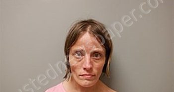 VAUGHN, ALESHA ANN | 2024-06-26 23:38:00 Craighead County, Arkansas Booking