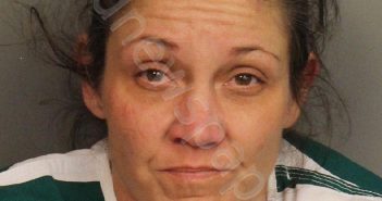 ELLISON, KAREN LEE | 2024-06-26 16:06:00 Jefferson County, Alabama Booking