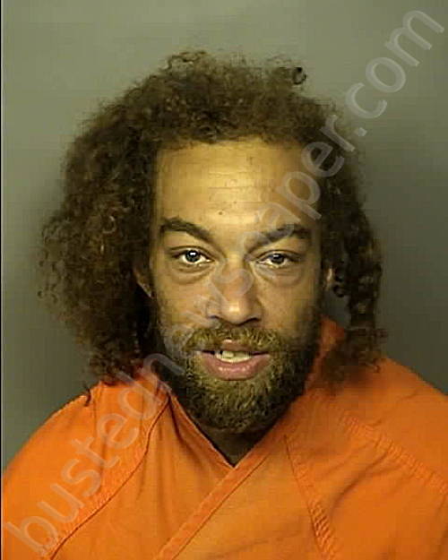 MANKINS, JAMES WESLEY #, Horry County, South Carolina - 2024-06-26 20:38:00