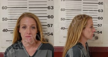 <B>MAYER</B>, <B>AMANDA</B> <B>MEGAN</B> #, Henderson County, Texas - 2024-06-26