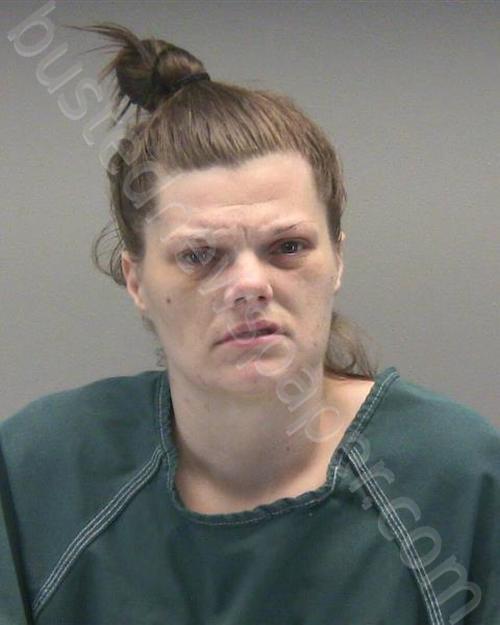 VALANDINGHAM, SHELBY RENAE #, Montgomery County, Ohio - 2024-06-27 12:12:00