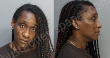 TOUSSAINT, BRENDA | 2024-06-28 14:17:00 Miami-Dade County, Florida Booking