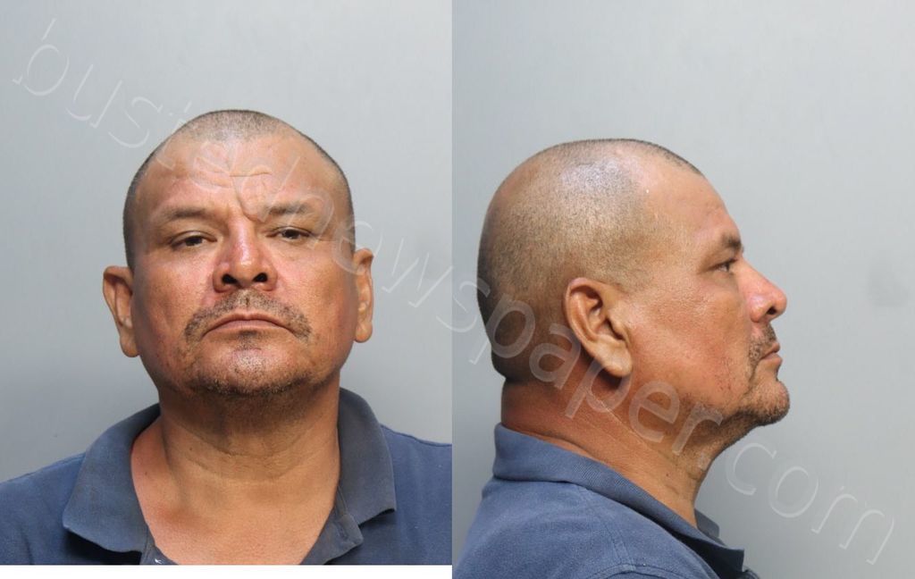 LINARTE-LEZAMA, EMILIO JOSE #, Miami-Dade County, Florida - 2024-06-28 20:05:00