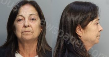 RUIZ-PEREZ, ANA | 2024-06-28 14:05:00 Miami-Dade County, Florida Booking