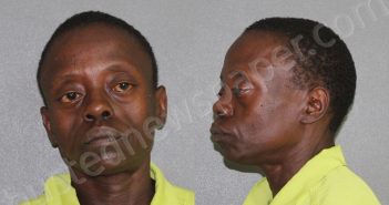 HAMILTON, CARLA JEAN | 2024-06-28 Angelina County, Texas Booking