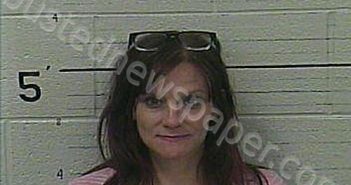 TERRY, JESSICA R | 2024-06-29 18:59:00 Knox County, Kentucky Booking