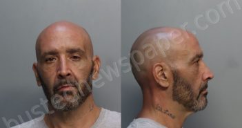 PAGAN, ISMAEL | 2024-06-29 02:35:00 Miami-Dade County, Florida Booking