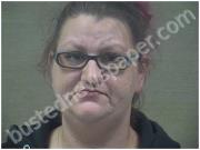 KNOWLES, ASHLEY | 2024-06-30 Harnett County, North Carolina Booking