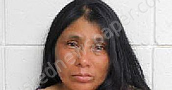 MARIA PAREZ PEREZ | 2024-06-30 00:47:00 Duplin County, North Carolina Booking