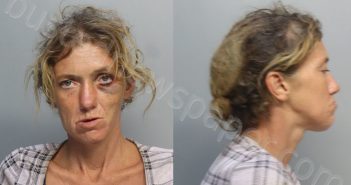 HENLEY, MELISSA | 2024-06-30 06:04:00 Miami-Dade County, Florida Booking