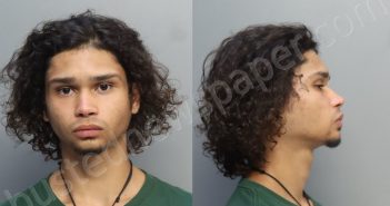 MOLINA, GINO ALEJANDRO | 2024-06-30 03:50:00 Miami-Dade County, Florida Booking