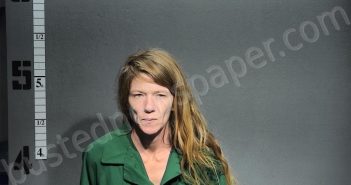 DAVIS, APRIL DAWN | 2024-07-01 14:27:00 Western Tidewater, Virginia Booking