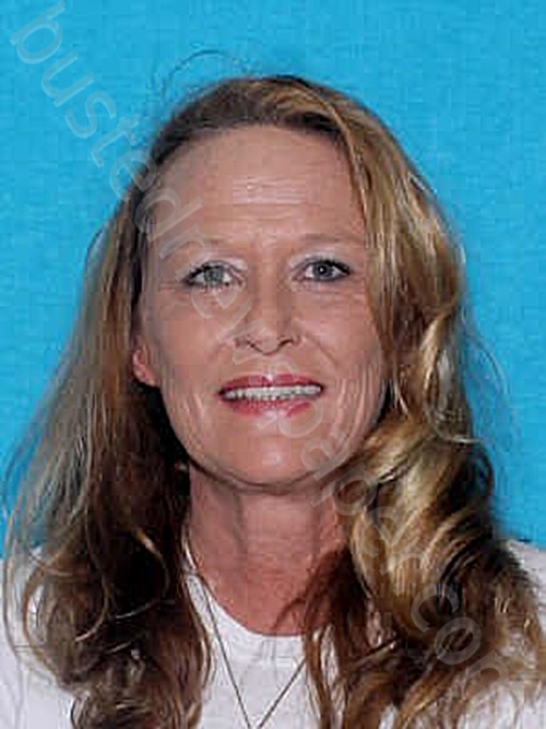 BAYSDON, SHERRY LYNN #, Shelby County, Alabama - 2024-07-01