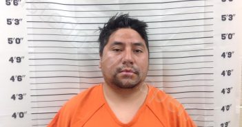 LOPEZ LOPEZ, HODIAS ADIN | 2024-07-01 07:45:00 Pickens County, Georgia Booking