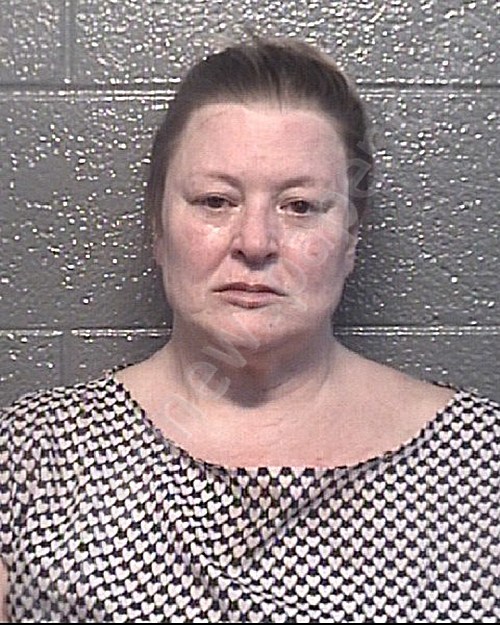 Disher, Shanna Louann | 2024-07-01 Danville PD, Virginia Booking