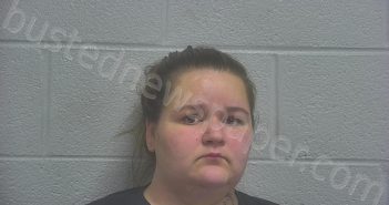 <B>MCADAMS</B>, <B>MADISON</B> <B>NICOLE</B> #, Marshall County, Tennessee - 2024-07-02 23:52:00