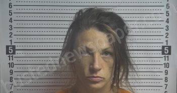 <B>TURNER</B>, <B>KRISTEN</B> <B>DAWN</B> #, Boyle County, Kentucky - 2024-07-03 15:12:00