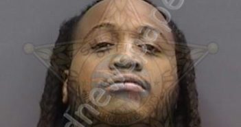 <B>ROBINSON</B>,<B>TERRANCE</B> <B>JR</B> #, Hillsborough County, Florida - 2024-07-03 10:49:00