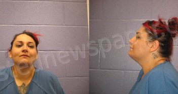 VILLAREAL, PRICILLA ALICIA | 2024-07-03 Andrews County, Texas Booking