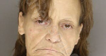 MEDLIN, CARRIE DIANA | 2024-07-04 20:25:00 Moore County, North Carolina Booking