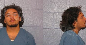 CARRILLO, IZRIYEAL | 2024-07-04 Andrews County, Texas Booking