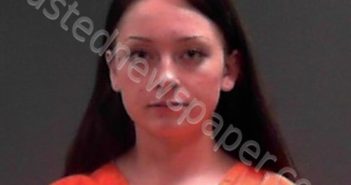 FOLEY, HEAVENLEE ANJEL | 2024-07-06 04:45:00 Ohio County, West Virginia Booking