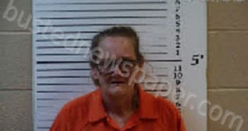 WEBSTER, TRACY LYNN | 2024-07-06 03:12:00 Cherokee County, North Carolina Booking