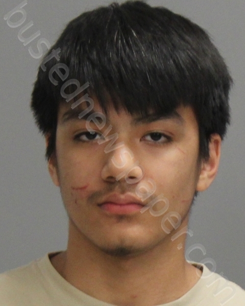 ESCORZA, LORENZO ANTONIO #, Brazos County, Texas - 2024-07-07